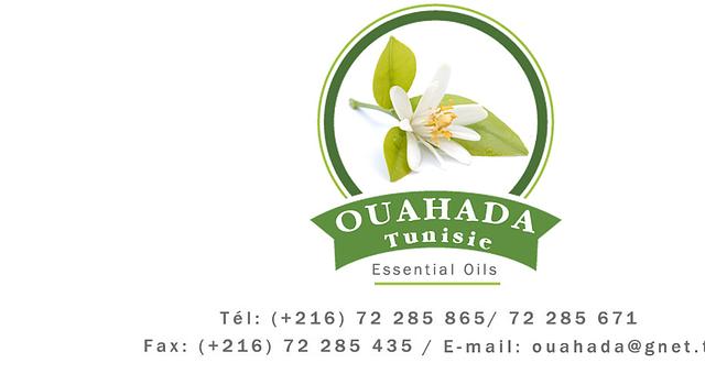 Développement d'un site web  + Référencement SEO par Ridha Ben Jamaa