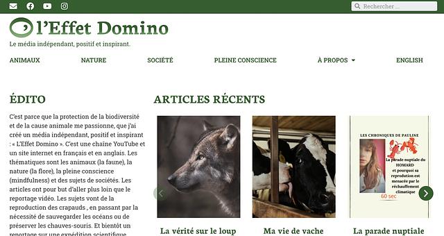 Refonte du site d'une YouTubeuse militante par Renaud Héluin