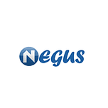 NEGUS GROUP