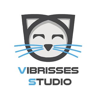 Vibrisses-Studio Agence développement spécifique