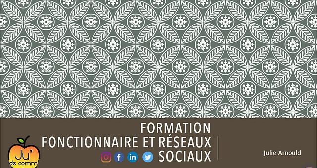 Formation "fonctionnaire et réseaux sociaux" par Julie Arnould