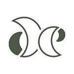 Digital Effervescence / Spiriit