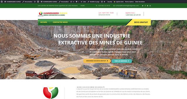 Création site web Humming Bird par hassansylla