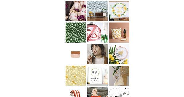 Gestion de feed instagram par Ferdiz