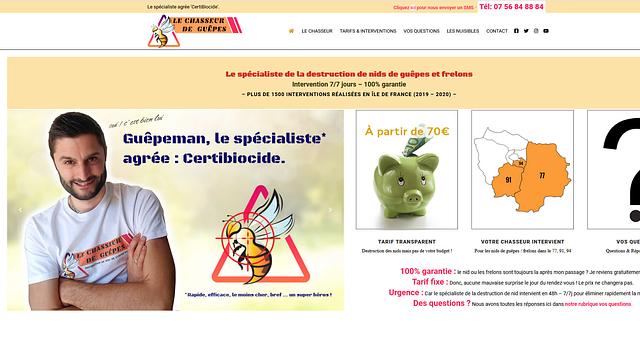 Site de destruction de nids de frelons. par Nicolas Osika