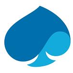 Capgemini