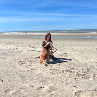 Charlotte Iafrate Expert SEO