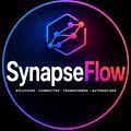SynapseFlow Développeur e-commerce