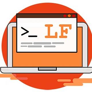 LF_c0nsult1ng Développeur web