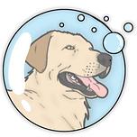 Labra'bulle