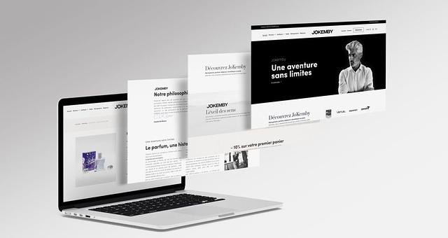 site E-commerce/logo/vidéo promotionnelle par indigostudiobe