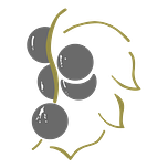 Pierre Maurice Carruzzo & Fils