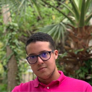 Walid Ahmida Consultant SEO