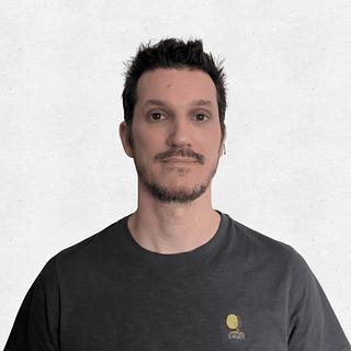 Julien Cousin Développeur WordPress