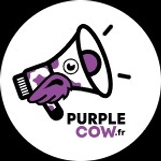 Sébastien  Mahé  Développeur e-commerce