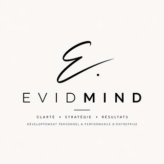Evidmind Assistant virtuel