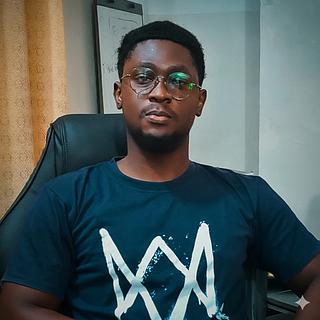 Oueziza Setangni Développeur WordPress