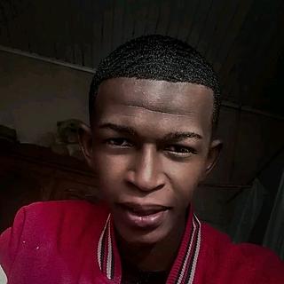 Fausto Manampiharson Graphiste spécialisé en création de logo