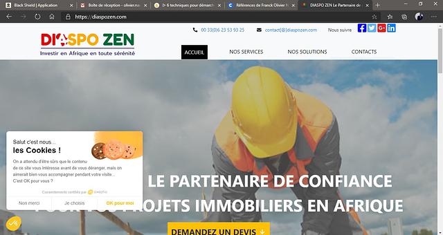 DIASPOZEN LANDING PAGE par Franck Olivier Nauhand Allou