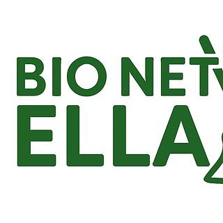 Marie Ella Alson Agence web