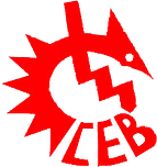 Communauté Electrique du Bénin (CEB)