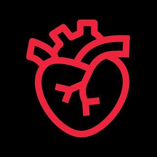 crushcode Agence web