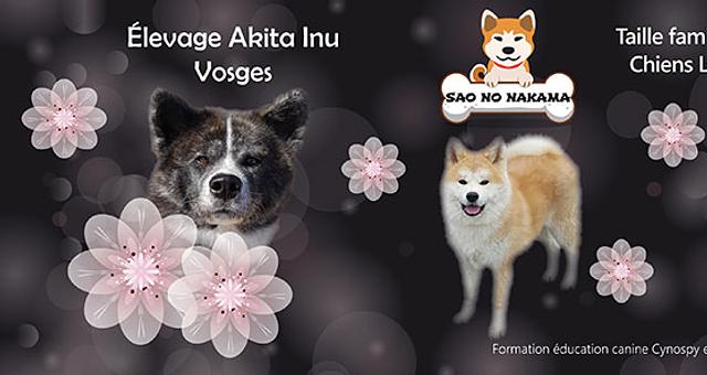 Création d'une bannière Facebook par Karen Pierrat