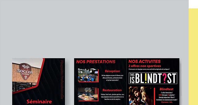 Plaquette professionnelle par Raphaël  Lemaire