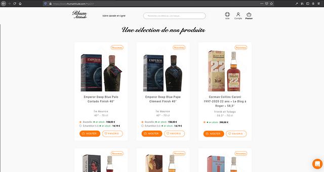 Développement web par Teko Consulting