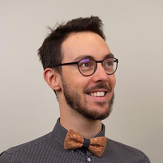 Benoit Favrel Coze Développeur spécifique