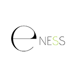 Agence web E-ness