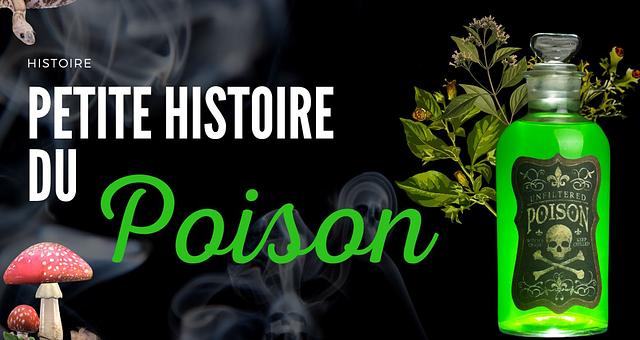 Montage vidéo et voix off  par JulietteFreelance