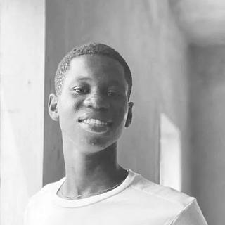 Abdoulaye  Kane Assistant virtuel