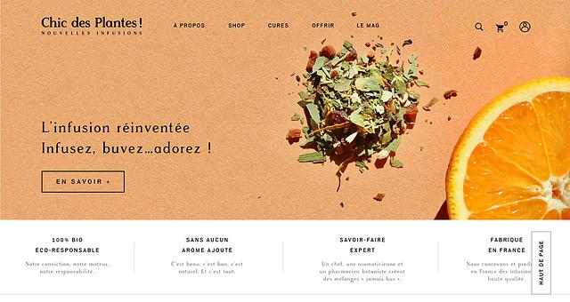 Site Prestashop 1.7 Chic des plantes par Datalinx