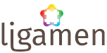Ligamen