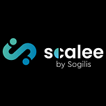 Conseil en ingénierie logiciel