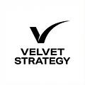 VELVETStrategy Développeur mobile