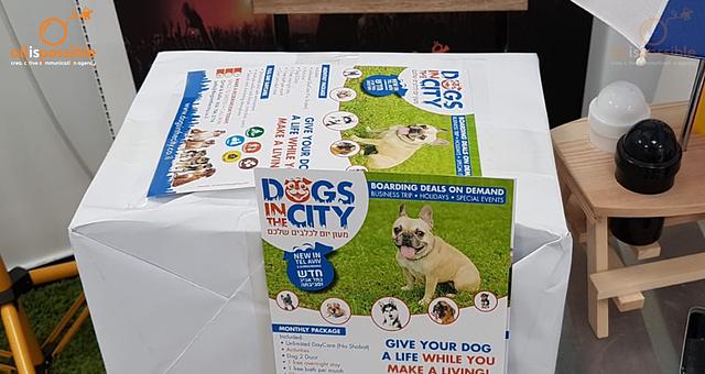 Création de logo •  DOGS IN THE CITY par Cyril Rajz