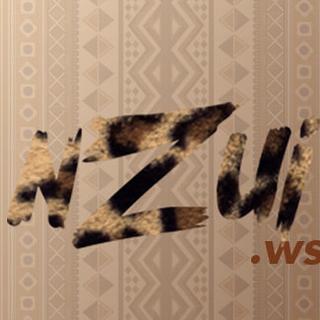 Nzui Dev Agence de développement mobile