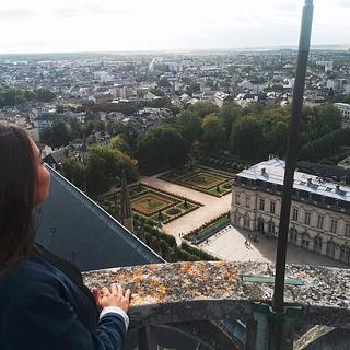 Priscillia Morin Assistant virtuel