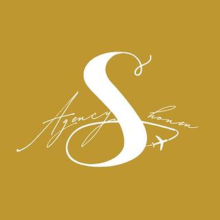 Mehdi Louiz Community manager