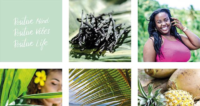 Feed beauté  par Coralie Diaz