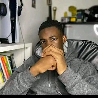 Israël Lucien Rédacteur web