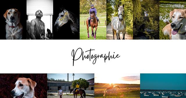 Photographie par Julie Lino