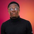 Josué Salomon Houndenou Développeur web