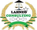 Lahneo consulting