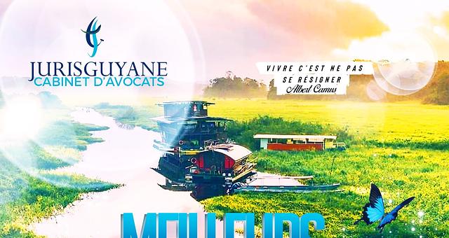 Carte de voeux par HavanaMarketing