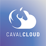 Caval Cloud