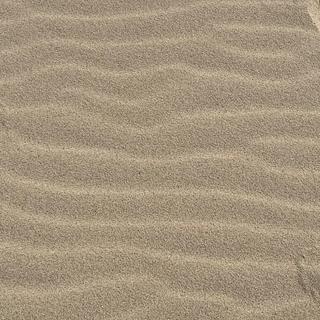 Patricia_CM Community manager