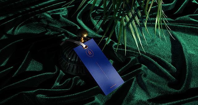 Branding & Webdesign par Elise Martins-Pereira